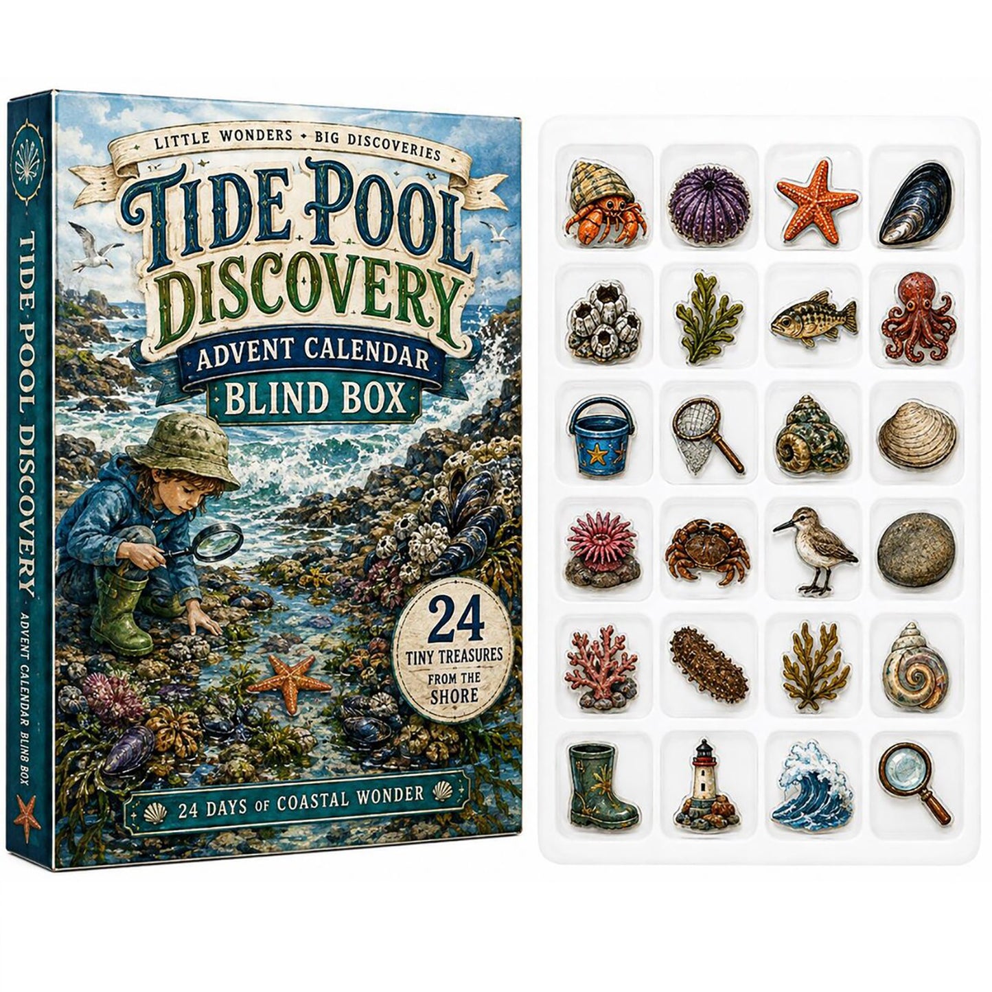 Tide Pool Coastal 2026 Advent Calendar Marine Biologist Merch Ocean Xmas Gift
